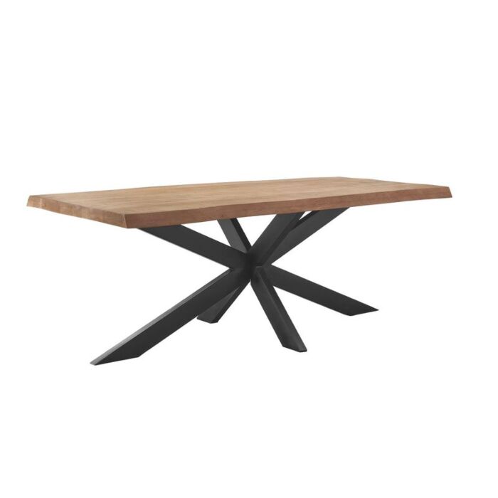 Profijt Meubel Eettafel Newhaven Met Spinpoot 200x100