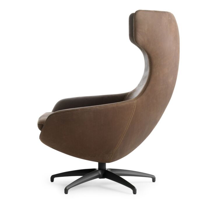 Leolux Caruzzo Fauteuil Bruin