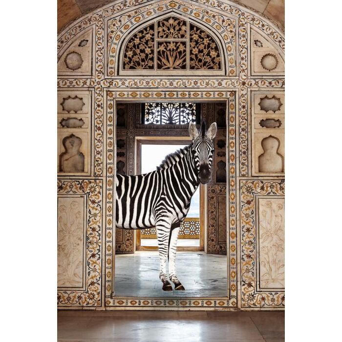 Glasschilderij Zebra In Gebouw