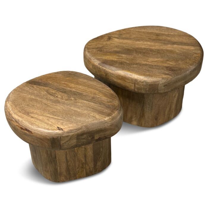 Salontafel Sleek Set Van 2