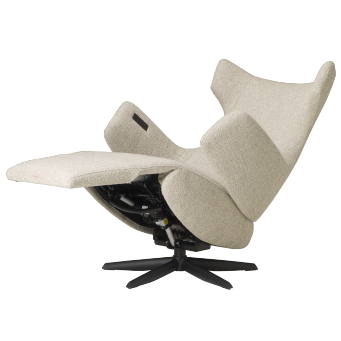 De Toekomst Relaxfauteuil Riva 1005