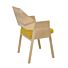 Pilat & Pilat Fauteuil Diny