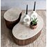  Organische Salontafel Swell Travertine en Mangohout