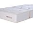 Birds Finch Matras