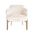 Fauteuil Venus 