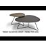 Salontafel Twinny