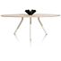 Eetkamertafel Arvada Ellips 220x110 Cm Naturel Nebbia