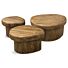 Salontafel Sleek Set van 3
