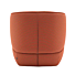 Rolf Benz Designfauteuil 384 