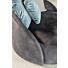 Lounge Fauteuil Toya Zwart