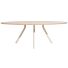 Eetkamertafel Arvada Ellips 250x110 Cm Naturel Nebbia