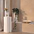 Plant Stand Shape Set van 2