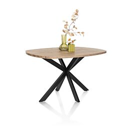 H&H Bartafel Pavarotti